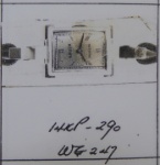 After using the magic "Tape-B-Gone!" spray